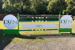D2N